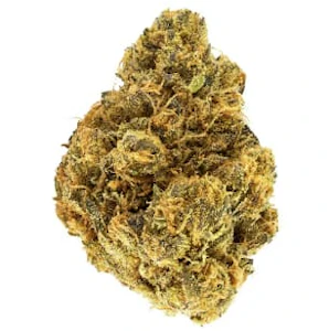 Plaid Trout - Alberta Grown Sativa 14g (Lamb's Bread)