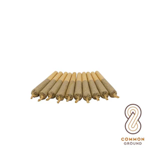 Common Ground - Amherst Sour Diesel | 10x0.5G