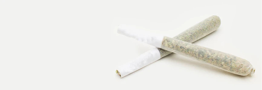 Common Ground - Amherst Sour Diesel | 2x1G