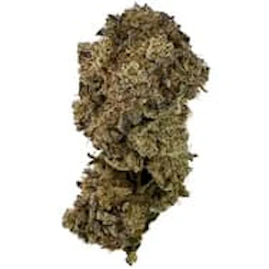 Just Kush - GCG LTO - 7