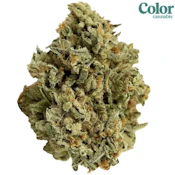 Color Cannabis | Mango Haze Flower | 7g PROMO ~