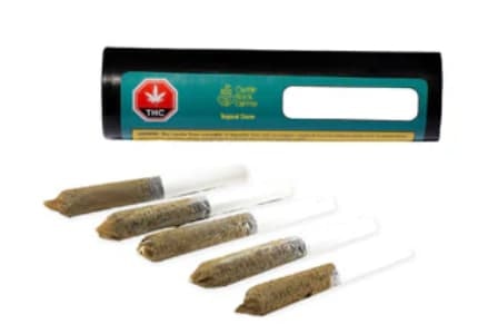 Castle Rock Farms - TROPICAL STORM  - 5 x 0.5g