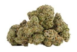 GLAZED APRICOT GELATO - 14g