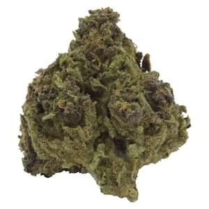 Common Ground - Blueberry Cupcake 14g Dried Flower