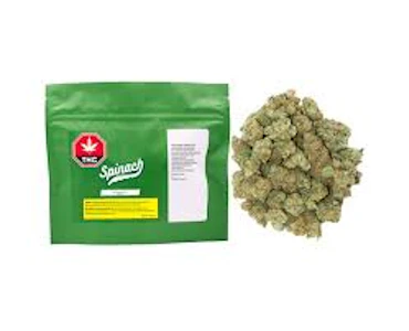 Spinach  - Spinach - Sonic Lemon Fuel - 28g