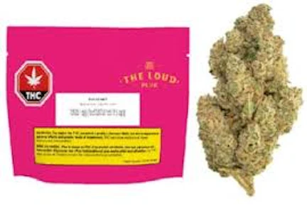 The Loud Plug  - The Loud Plug - Frosted Swirl - 28g