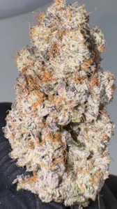 Royal Harvest Craft Cannabis - RED VELVET | Royal Harvest | 7g Flower | Rest