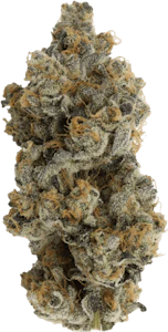 Herba Farms - Herba Farms - Canna Macchiato | 28g