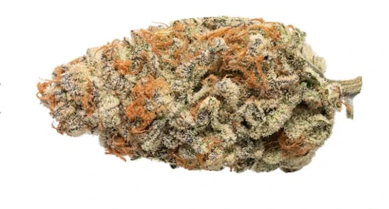 HER.B - Boujie Bud (Glitter Bomb) / HER.B