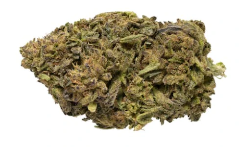 HER.B - Live Flower (Space Panda) / HER.B