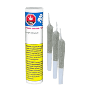 SAN RAFAEL '71 - Pink Diesel 3 x 0.5g Pre-Rolls