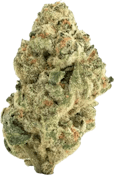 The Loud Plug - Venom OG | 7g