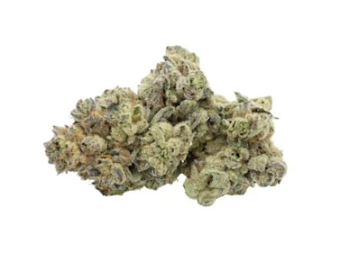 Sitka Legends - Animal Tsunami - 7g