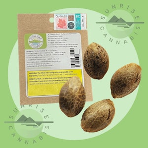 Weathered Islands Craft Cannabis - BC CLASSICS SEEDS FEMINIZED - WEATHERED ISLAND - 4PACK