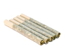 DAY TRIPPER  - 5 x 0.5g