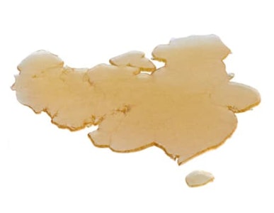 RAD - STICKY BANANAS X BLOOD HONEY SHATTER - 1g