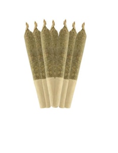 Sheeesh! - DOUBLE BUBBS - 7 X 0.5 GRAMS