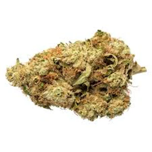 Orchard - MOBY DICK - BUSHELS SATIVA LTO