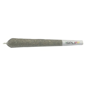 1Spliff - 1Spliff - Biscotti Pre-roll - 2x1g