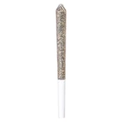 Amnesia Haze Pre-Roll 1x0.5g Pre-Rolls