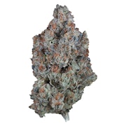 Sour Tangie 7g Dried Flower