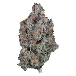 1964 - Sour Tangie 7g Dried Flower