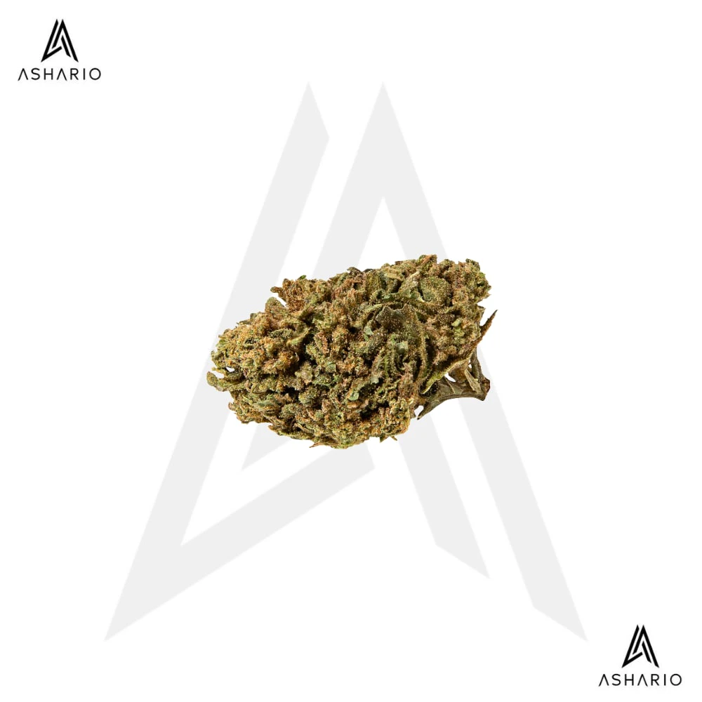 WHOLEHEMP - Premium CBD | 3.5g Main Image