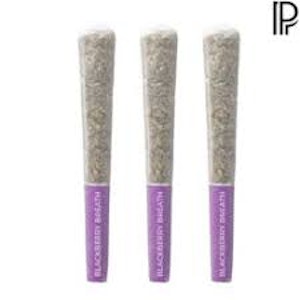 Pistol and Paris - Blackberry Breath | 3x0.5G