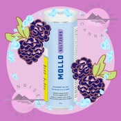BLACKBERRY SELTZER - MOLLO