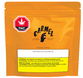 Carmel - ANIMAL FACE - 7