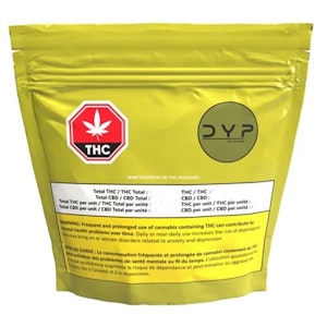 DYP - DYP - Wintergreen 10 x 0.52g THC Infused Pouches