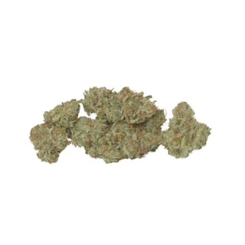 Good Buds - Mango Cake 3.5g Dried Flower Main Image