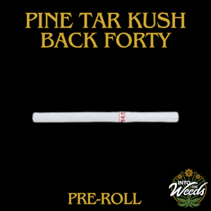 Back Forty - Pine Tar Kush - 10 x 0.35g
