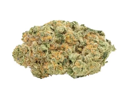 Big Bag O' Buds - MIDNIGHT M'MOSA LTO - 28