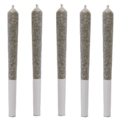 G-Wagon - Indica - 5x0.5g