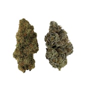 HOMA Dual Pack - Hybrid - 7g