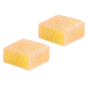PORT NORTH - Lemon Z Rosin - Strain Specific Full Spectrum Solventless So - Sativa - 2 Pack
