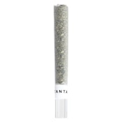 Pacific OG Glass Tip - Sativa - 1x1g