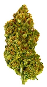 Salt Spring Magic - SALT SPRING LOVE HAZE - 14g