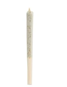 Simply Bare - Simply Bare - BC Organic Fruit Loopz Pre-Roll - 1x0.5g