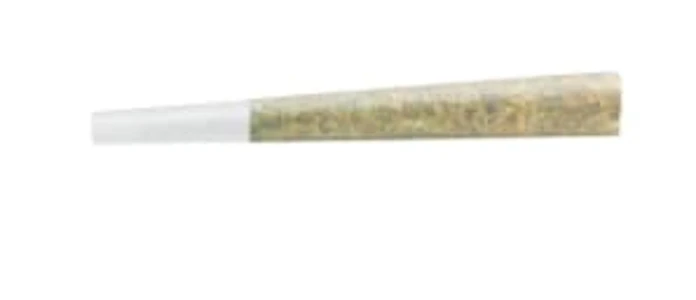 Spinach - Spinach - GMO Cookies 1x1g Pre-Rolls/ - GMO Cookies 1x1g Pre-Rolls