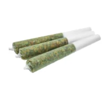 Spinach - GMO Cookies 3x0.5g Pre-Rolls/ - GMO Cookies Pre-Roll 3x0.5g Pre-Rolls