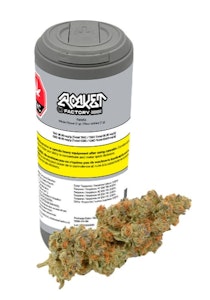 Rocket Factory - Facetz