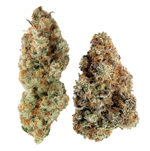 Northern Canna x Ministry of Sativa - Yin Yang