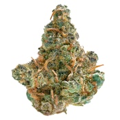 Spinach - Frosted Cream Puffs 3.5g Dried Flower - Hybrid