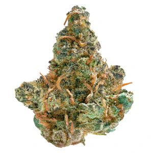 Spinach - Spinach - Frosted Cream Puffs 3.5g Dried Flower - Hybrid