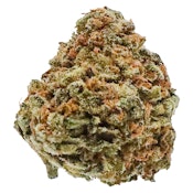 Potluck - Banana Cream 7 g Dried Flower - Indica
