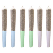 Station House - Daytime Express Sativa 6 x 0.5 g Pre-Rolls - Sativa