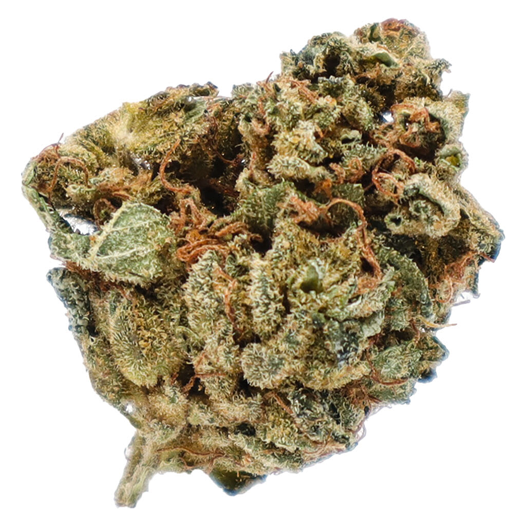 Potluck - Orange Layer Cake 7 g Dried Flower - Sativa