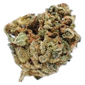 Potluck - Orange Layer Cake 7 g Dried Flower - Sativa